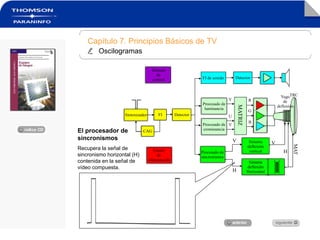 Capítulo 7. Principios Básicos de TV
Oscilogramas
Procesado de
luminancia
Procesado de
crominancia
MATRIZ
FI de sonido Detector
VSistema
deflexión
vertical
Sistema
deflexión
Horizontal
Procesado de
sincronismos
Sistema
deflexión
Horizontal
H
MAT
Sistema
de
control
Y
U
V
R
G
B
V
H
Detector
Fuente
de
alimentación
FISintonizador
CAG
Yugo
de
deflexión
TRC
El procesador de
sincronismos
Recupera la señal de
sincronismo horizontal (H)
contenida en la señal de
vídeo compuesta.
 