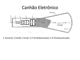 Canhão Eletrônico
1- filamento. 2-Cátodo. 3-Grade. 4-1º Ânodo(focalização). 5-2º Ânodo(aceleração).
 