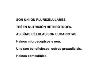 SON UNI OU PLURICELULARES. TEÑEN NUTRICIÓN HETERÓTROFA. AS SÚAS CÉLULAS SON EUCARIOTAS. Hainos microscópicos e non. Uns son beneficiosos, outros prexudiciais. Hainos comestibles. 