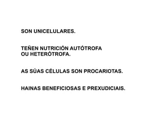 SON UNICELULARES. TEÑEN NUTRICIÓN AUTÓTROFA OU HETERÓTROFA. AS SÚAS CÉLULAS SON PROCARIOTAS. HAINAS BENEFICIOSAS E PREXUDICIAIS. 
