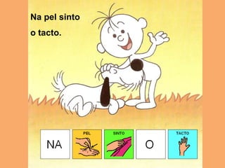 Napelsinto o tacto.
