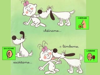 Os Cinco Sentido Pictos