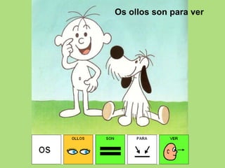 Os ollos son para ver