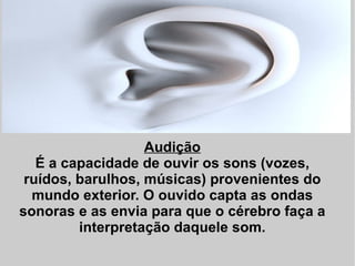 Audição É a capacidade de ouvir os sons (vozes, ruídos, barulhos, músicas) provenientes do mundo exterior. O ouvido capta as ondas sonoras e as envia para que o cérebro faça a interpretação daquele som. 