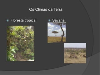 Os Climas da Terra
 Floresta tropical  Savana
 
