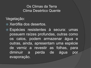 Os Climas da Terra
Clima Desértico Quente
Vegetação:
 Xerófila dos desertos.
 Espécies resistentes à secura: umas
possuem raízes profundas, outras como
os catos, podem armazenar água e
outras, ainda, apresentam uma espécie
de verniz a revestir as folhas, para
diminuir a perda de água por
evaporação.
 