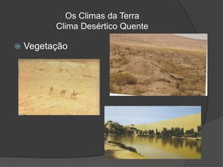Os Climas da Terra
Clima Desértico Quente
 Vegetação
 