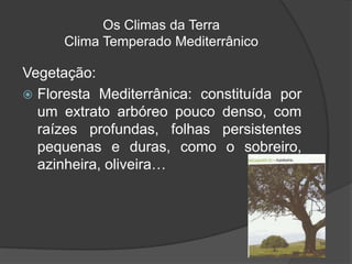 Os Climas da Terra
Clima Temperado Mediterrânico
Vegetação:
 Floresta Mediterrânica: constituída por
um extrato arbóreo pouco denso, com
raízes profundas, folhas persistentes
pequenas e duras, como o sobreiro,
azinheira, oliveira…
 