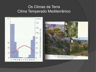 Os Climas da Terra
Clima Temperado Mediterrânico
 