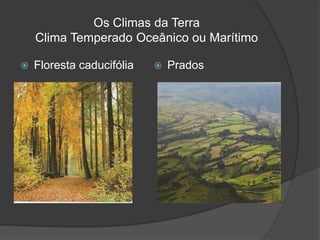 Os Climas da Terra
Clima Temperado Oceânico ou Marítimo
 Floresta caducifólia  Prados
 