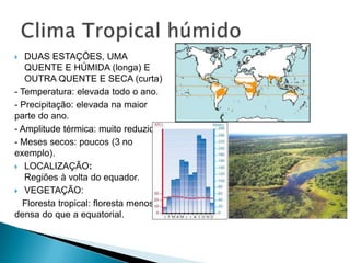  DUAS ESTAÇÕES, UMA
QUENTE E HÚMIDA (longa) E
OUTRA QUENTE E SECA (curta)
- Temperatura: elevada todo o ano.
- Precipitação: elevada na maior
parte do ano.
- Amplitude térmica: muito reduzida.
- Meses secos: poucos (3 no
exemplo).
 LOCALIZAÇÃO:
Regiões à volta do equador.
 VEGETAÇÃO:
Floresta tropical: floresta menos
densa do que a equatorial.
 