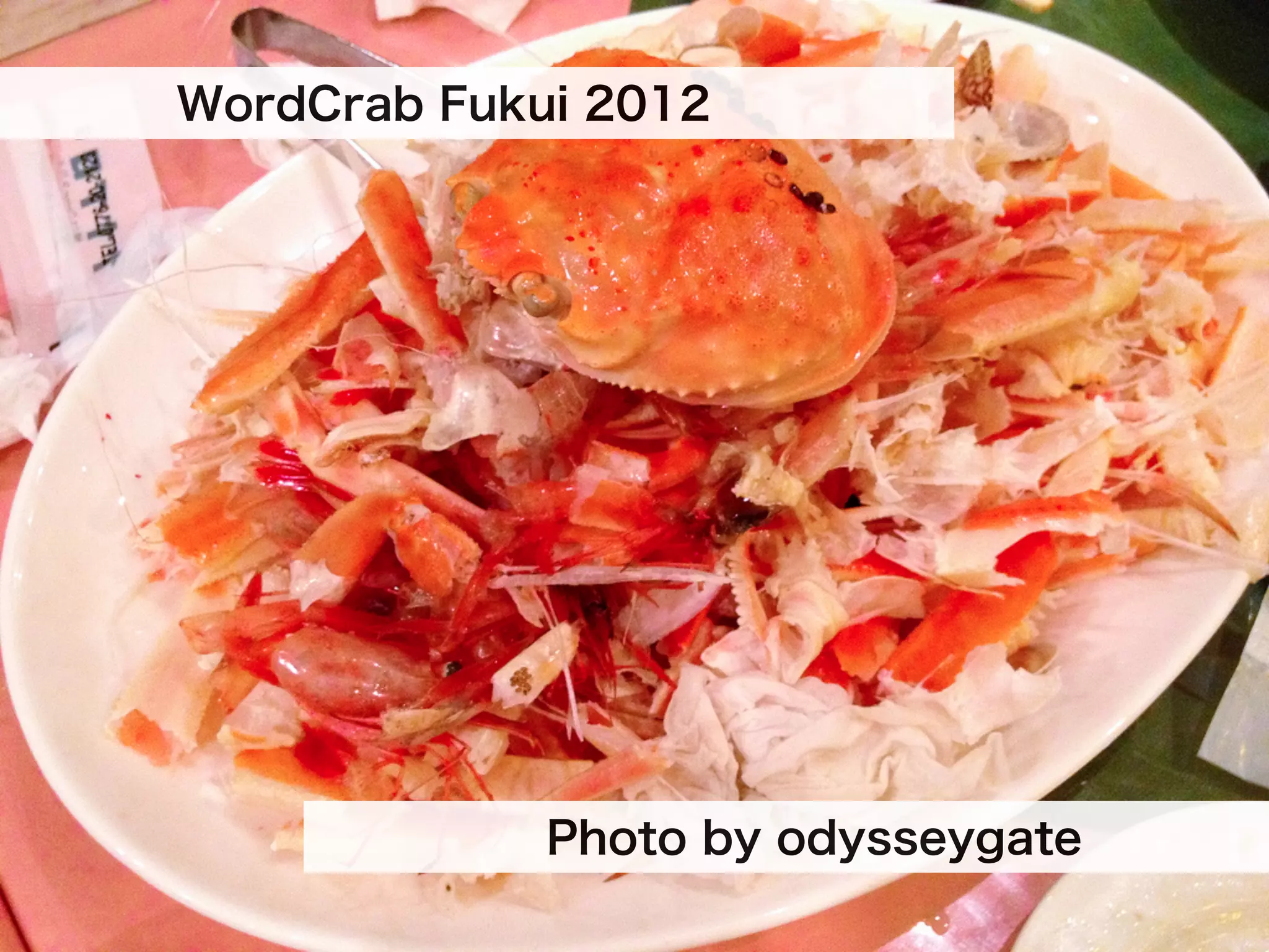 WordCrab Fukui 2012




             Photo by odysseygate
 