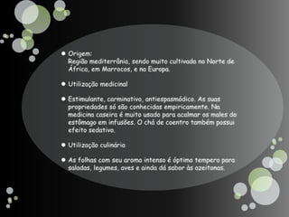 Origem:Região mediterrânia, sendo muito cultivada no Norte de África, em Marrocos, e na Europa.Utilização medicinalEstimulante, carminativo, antiespasmódico. As suas propriedades só são conhecidas empiricamente. Na medicina caseira é muito usado para acalmar os males do estômago em infusões. O chá de coentro também possui efeito sedativo.Utilização culináriaAs folhas com seu aroma intenso é óptimo tempero para saladas, legumes, aves e ainda dá sabor às azeitonas. 