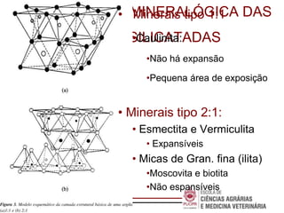 Escola de
Negócios
CLASSIFICAÇÃO MINERALÓGICA DAS
ARGILAS SILICATADAS
• Minerais tipo 1:1
•Caulinita:
•Não há expansão
•Pequena área de exposição
• Minerais tipo 2:1:
• Esmectita e Vermiculita
• Expansíveis
• Micas de Gran. fina (ilita)
•Moscovita e biotita
•Não espansíveis
 