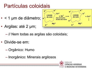 Escola de
Negócios
Partículas coloidais
• < 1 μm de diâmetro;
• Argilas: até 2 μm;
– // Nem todas as argilas são coloidais;
• Divide-se em:
– Orgânico: Humo
– Inorgânico: Minerais argilosos
 