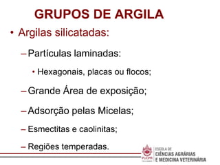 Escola de
Negócios
GRUPOS DE ARGILA
• Argilas silicatadas:
–Partículas laminadas:
• Hexagonais, placas ou flocos;
–Grande Área de exposição;
–Adsorção pelas Micelas;
– Esmectitas e caolinitas;
– Regiões temperadas.
 