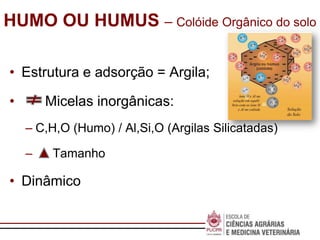 Escola de
Negócios
HUMO OU HUMUS – Colóide Orgânico do solo
• Estrutura e adsorção = Argila;
• Micelas inorgânicas:
– C,H,O (Humo) / Al,Si,O (Argilas Silicatadas)
– Tamanho
• Dinâmico
 