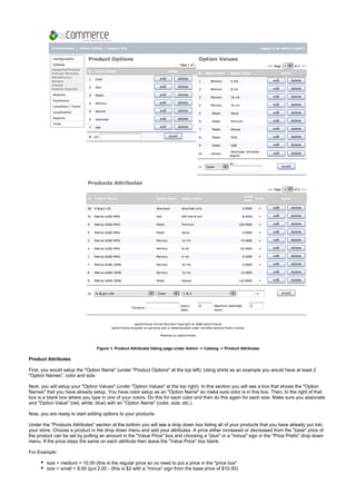 Figure 1. Product Attributes listing page under Admin -> Catalog -> Product Attributes
Product Attributes
First, you would setup the "Option Name" (under "Product Options" at the top left). Using shirts as an example you would have at least 2
"Option Names", color and size.
Next, you will setup your "Option Values" (under "Option Values" at the top right). In this section you will see a box that shows the "Option
Names" that you have already setup. You have color setup as an "Option Name" so make sure color is in this box. Then, to the right of that
box is a blank box where you type in one of your colors. Do this for each color and then do this again for each size. Make sure you associate
and "Option Value" (red, white, blue) with an "Option Name" (color, size, etc.).
Now, you are ready to start adding options to your products.
Under the "Products Attributes" section at the bottom you will see a drop down box listing all of your products that you have already put into
your store. Choose a product in the drop down menu and add your attributes. A price either increased or decreased from the "base" price of
the product can be set by putting an amount in the "Value Price" box and choosing a "plus" or a "minus" sign in the "Price Prefix" drop down
menu. If the price stays the same on each attribute then leave the "Value Price" box blank.
For Example:
size = medium = 10.00 (this is the regular price so no need to put a price in the "price box"
size = small = 8.00 (put 2.00 - (this is $2 with a "minus" sign from the base price of $10.00)
 