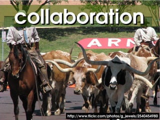 collaboration



                
         http://www.flickr.com/photos/g_jewels/2540454980
 