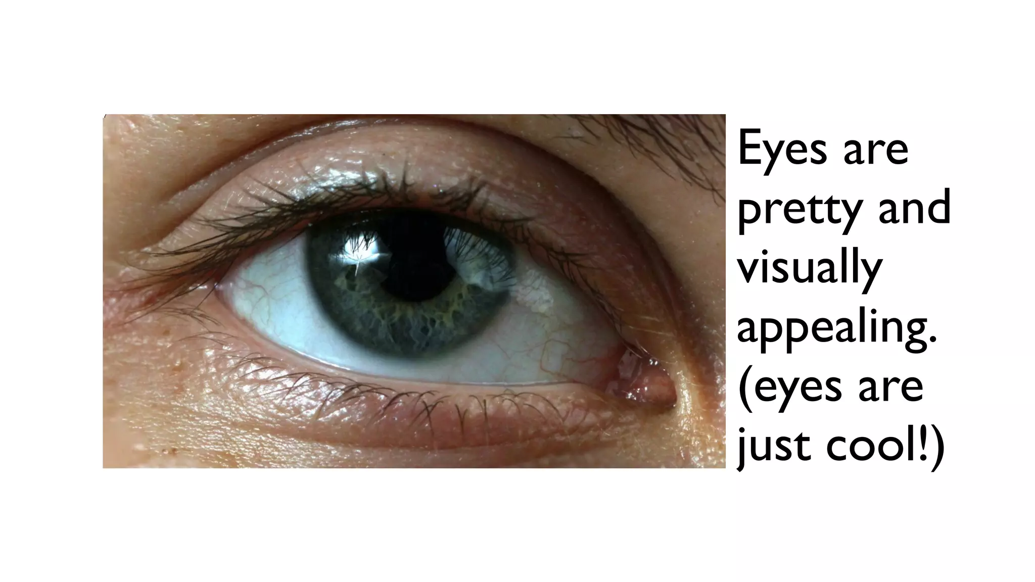 Eyes are
pretty and
visually
appealing.
(eyes are
just cool!)
 