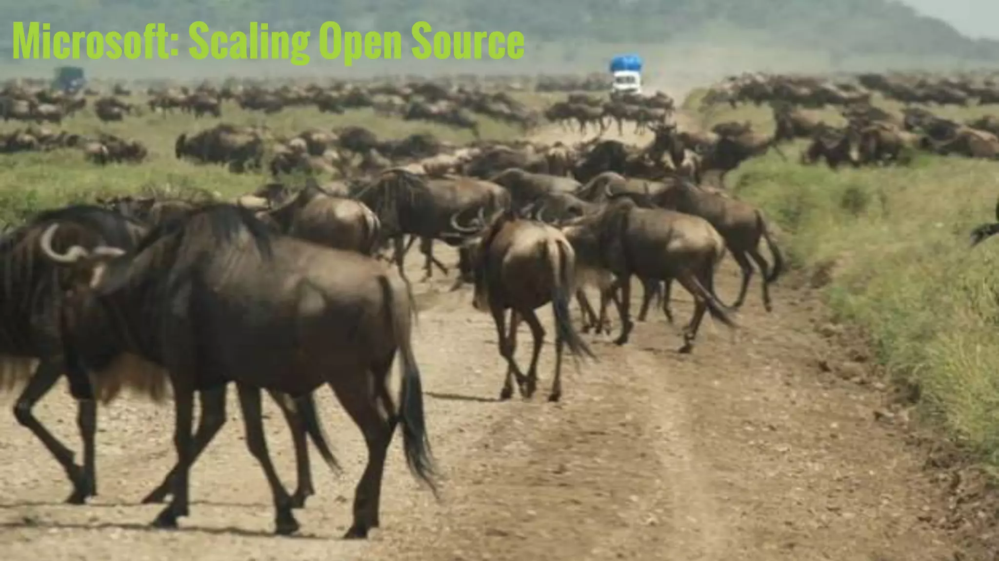 Microsoft: Scaling Open Source
 