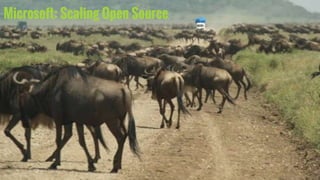 Microsoft: Scaling Open Source
 