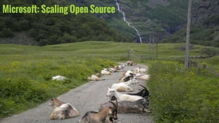 Microsoft: Scaling Open Source
 