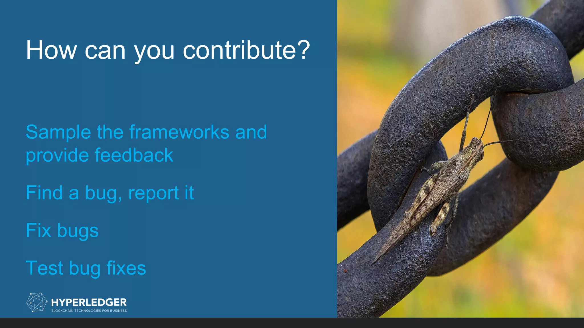 How can you contribute?
15
Sample the frameworks and
provide feedback
Find a bug, report it
Fix bugs
Test bug fixes
 
