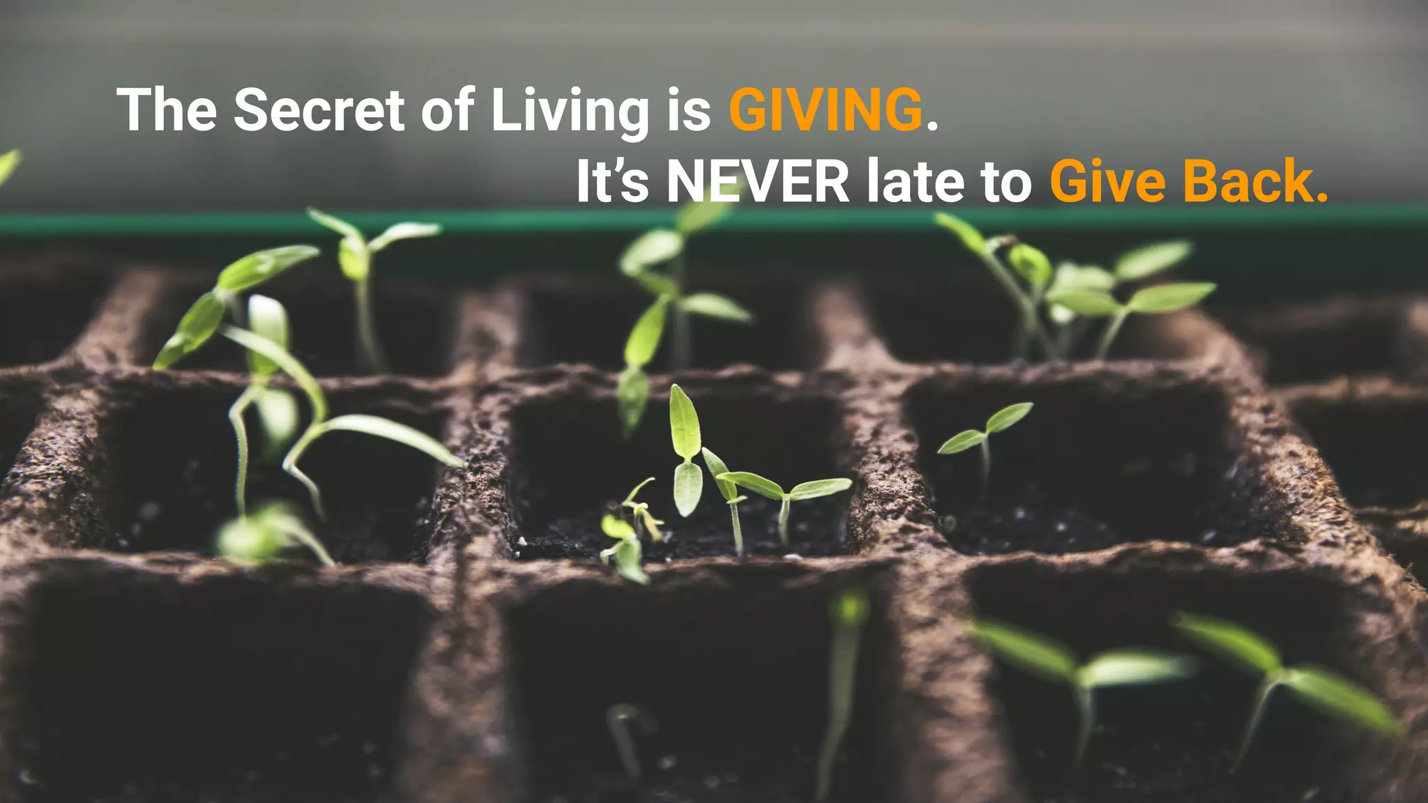 The Secret of Living is GIVING.
It’s NEVER late to Give Back.
 