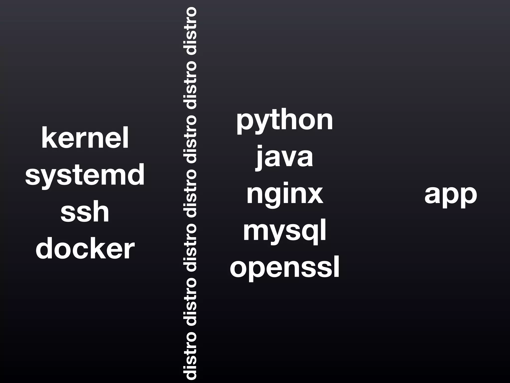 kernel
systemd
ssh
docker
python
java
nginx
mysql
openssl
appdistrodistrodistrodistrodistrodistrodistro
 