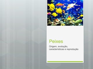 Peixes
Origem, evolução,
características e reprodução
 