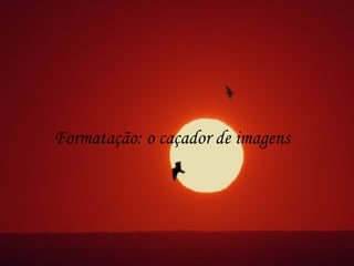 Formatação: o caçador de imagens
 