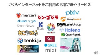 さくらインターネットをご利用のお客さまやサービス
45
 