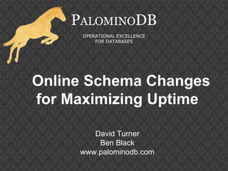 Online Schema Changes
for Maximizing Uptime
PALOMINODB
OPERATIONAL EXCELLENCE
FOR DATABASES
David Turner
Ben Black
www.palominodb.com
 