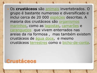 Crustáceos
 Os crustáceos são animais invertebrados. O
grupo é bastante numeroso e diversificado e
inclui cerca de 20 000 espécies descritas. A
maioria dos crustáceos são organismos
marinhos, como as lagostas, camarões e
caranguejos que vivem enterrados nas
areias da ria formosa , mas também existem
crustáceos de água doce, e mesmo
crustáceos terrestres como o bicho-de-conta.
 