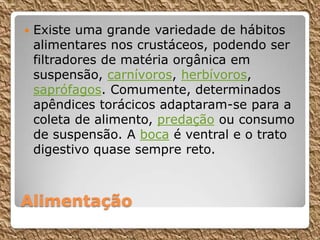 Alimentação
 Existe uma grande variedade de hábitos
alimentares nos crustáceos, podendo ser
filtradores de matéria orgânica em
suspensão, carnívoros, herbívoros,
saprófagos. Comumente, determinados
apêndices torácicos adaptaram-se para a
coleta de alimento, predação ou consumo
de suspensão. A boca é ventral e o trato
digestivo quase sempre reto.
 