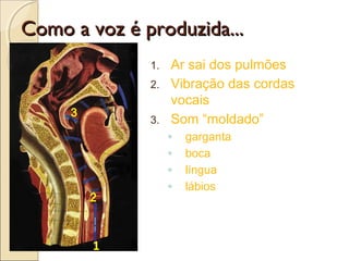 Como a voz é produzida...Como a voz é produzida...
1. Ar sai dos pulmões
2. Vibração das cordas
vocais
3. Som “moldado”
◦ garganta
◦ boca
◦ língua
◦ lábios
1
2
3
 
