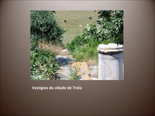 Vestígios da cidade de Tróia
 