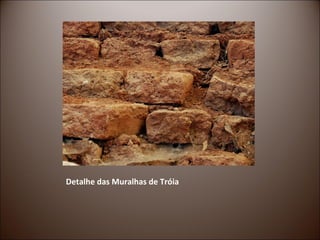 Detalhe das Muralhas de Tróia
 