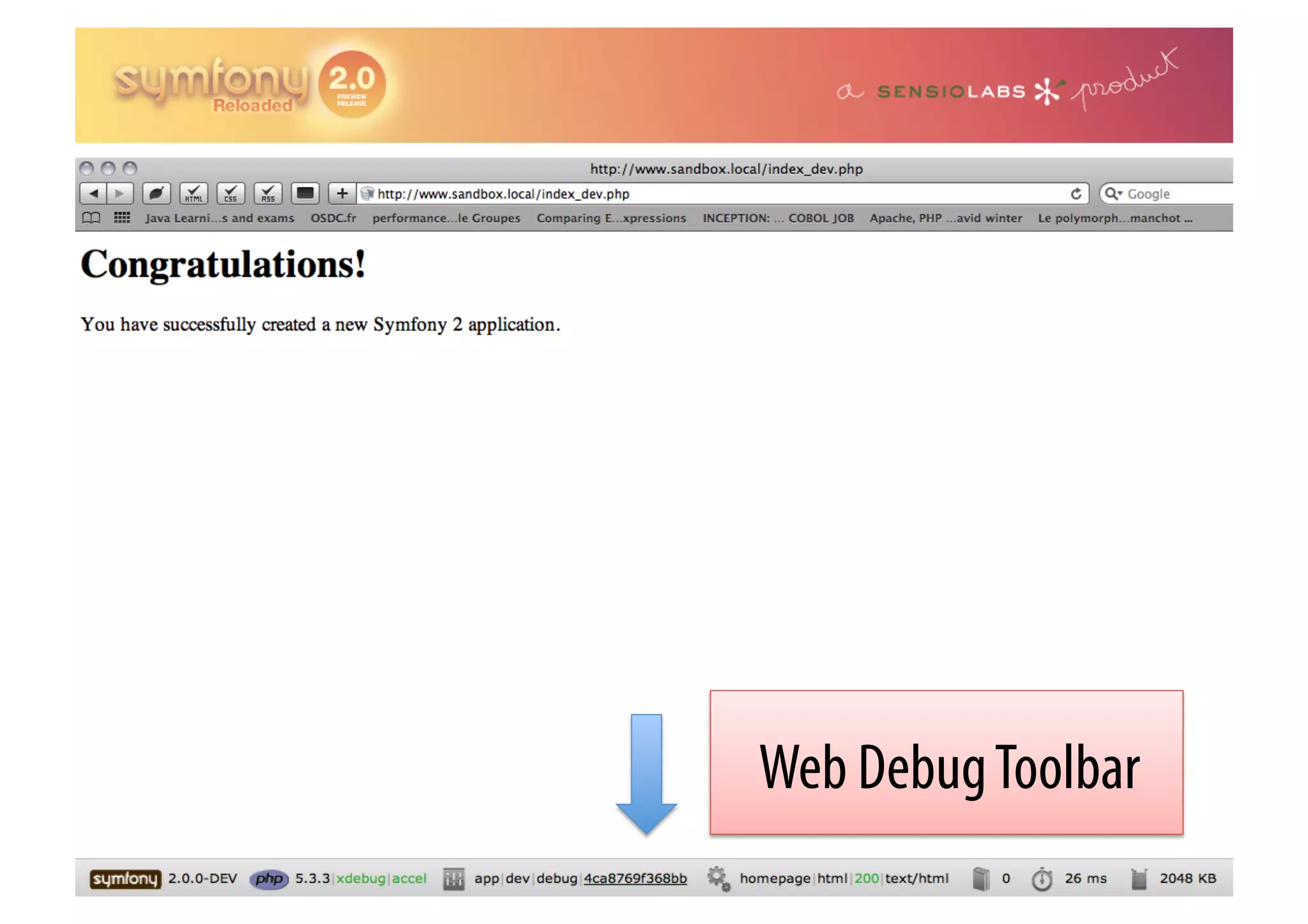 Web Debug Toolbar 