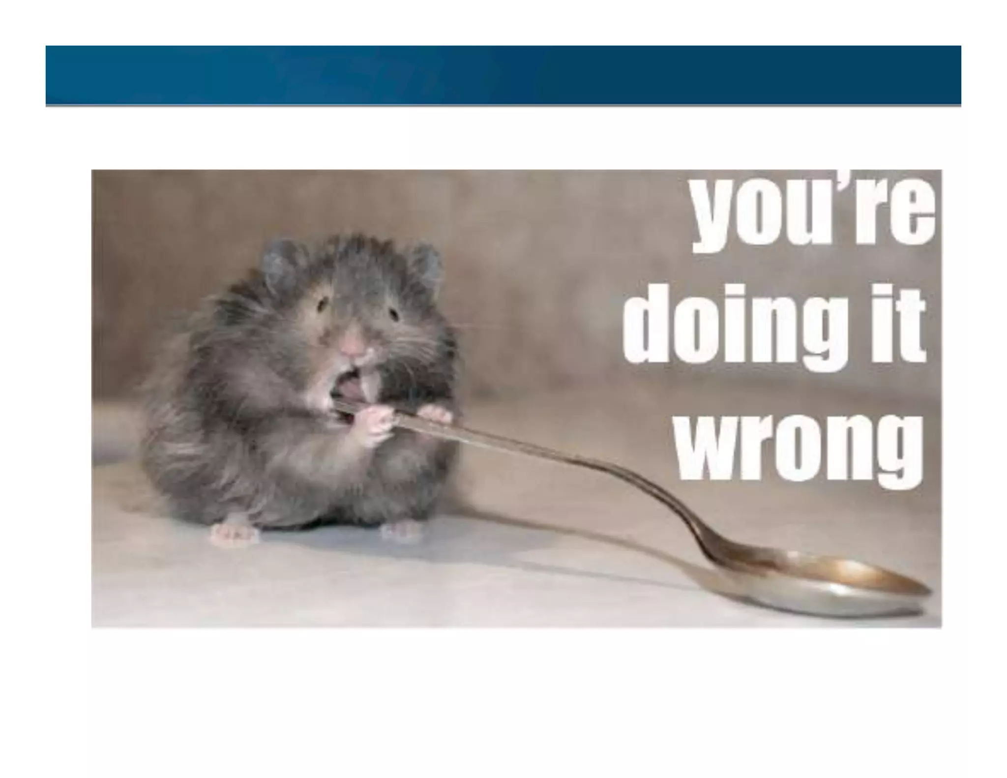 An introduction to Struts 2 and RESTful applications