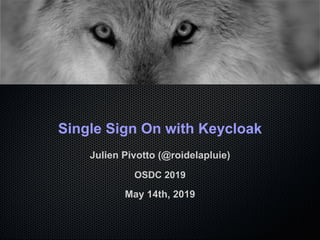 Single Sign On with Keycloak
Julien Pivotto (@roidelapluie)
OSDC 2019
May 14th, 2019
 