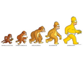 Era hora de evoluir…
 