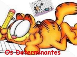 Os Determinantes
