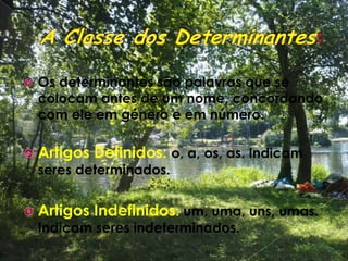 A Classe dos Determinantes:Os determinantes são palavras que se colocam antes de um nome, concordando com ele em género e em número.Artigos Definidos:o, a, os, as. Indicam seres determinados.Artigos Indefinidos: um, uma, uns, umas. Indicam seres indeterminados.