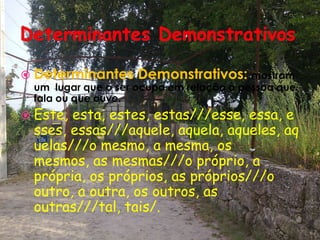 Determinantes Demonstrativos Determinantes Demonstrativos:mostram um lugar que o ser ocupa em relação à pessoa que fala ou que ouve.Este, esta, estes, estas///esse, essa, esses, essas///aquele, aquela, aqueles, aquelas///o mesmo, a mesma, os mesmos, as mesmas///o próprio, a própria, os próprios, as próprios///o outro, a outra, os outros, as outras///tal, tais/.