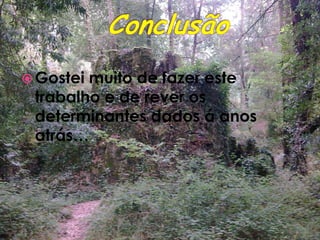 ConclusãoGostei muito de fazer este trabalho e de rever os determinantes dados á anos atrás…