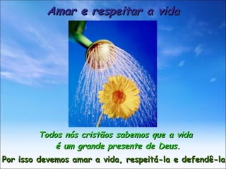 Todos nós cristãos sabemos que a vida é um grande presente de Deus.  Por isso devemos amar a vida, respeitá-la e defendê-la. Amar e respeitar a vida 