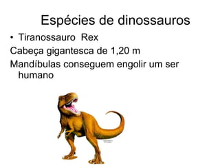 Espécies de dinossauros Tiranossauro  Rex Cabeça gigantesca de 1,20 m Mandíbulas conseguem engolir um ser humano 