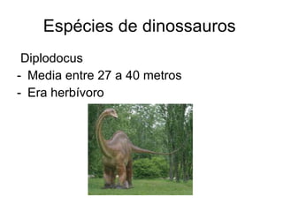 Espécies de dinossauros  Diplodocus Media entre 27 a 40 metros  Era herbívoro 